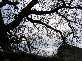 drubay.jpg (123732 bytes)