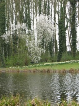 fb.jpg (88232 bytes)