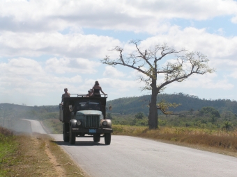 guebels.jpg (68153 bytes)