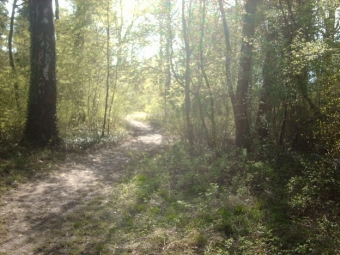 gwen25.jpg (93228 bytes)