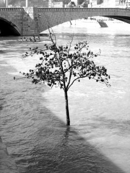 hetroit.jpg (80805 bytes)