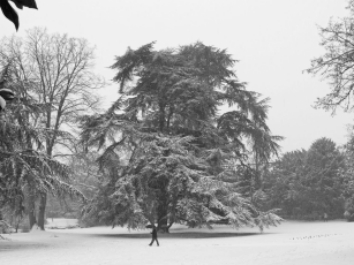 huchet.jpg (62085 bytes)