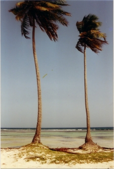 keller.jpg (60515 bytes)