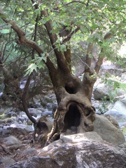 lamotte.jpg (109522 bytes)