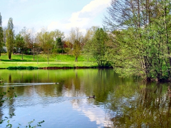 lecam.jpg (102192 bytes)