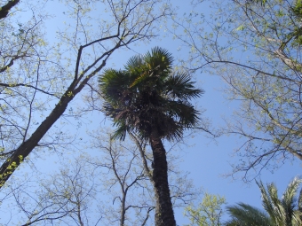 mro2.jpg (107465 bytes)