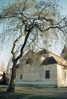 nienor.jpg (103833 bytes)