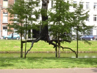 pcoeurstendres25.jpg (107426 bytes)