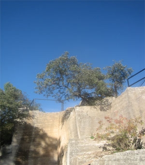 valenza.jpg (59187 bytes)